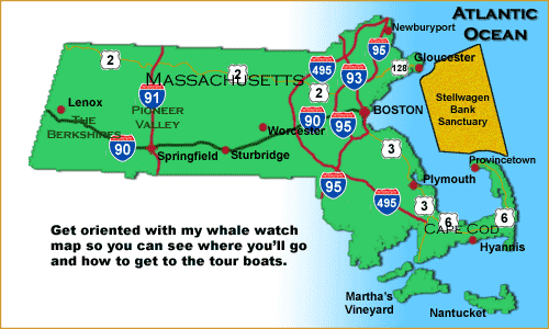 Whale Watching | New England Vacations Guide